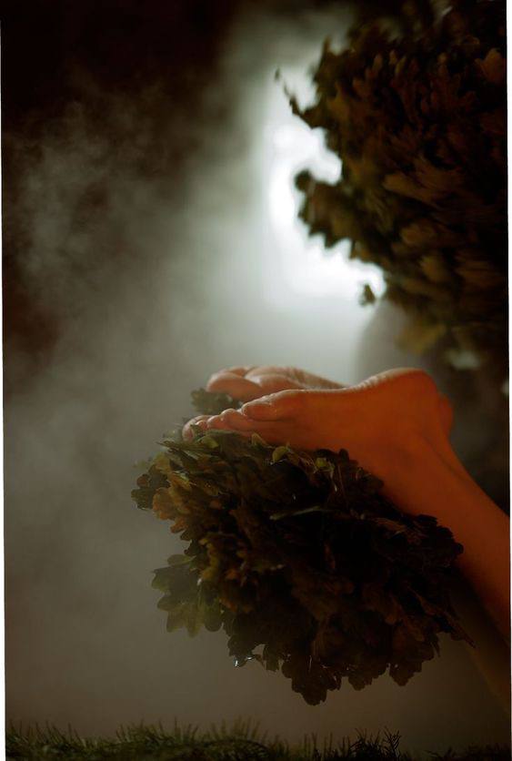 Баня и отдых