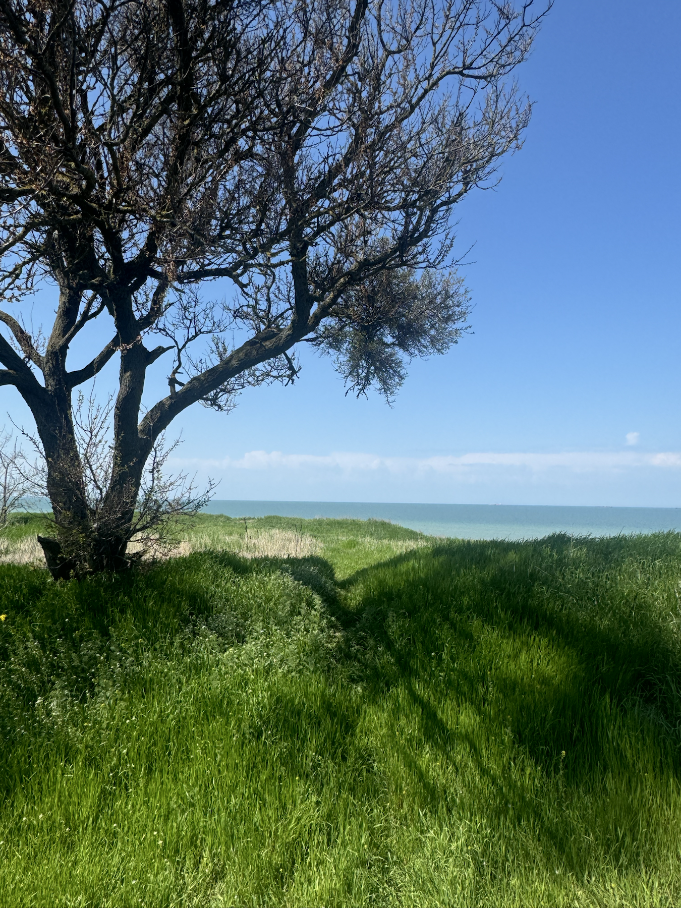 Джакузи в Фазановой лагуне